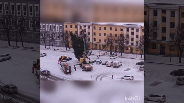 В Нарву привезли новогоднюю елку смотреть онлайн