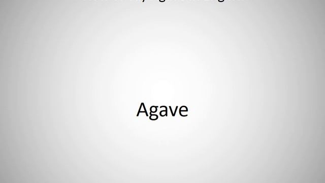 How to say Agave in English? смотреть онлайн
