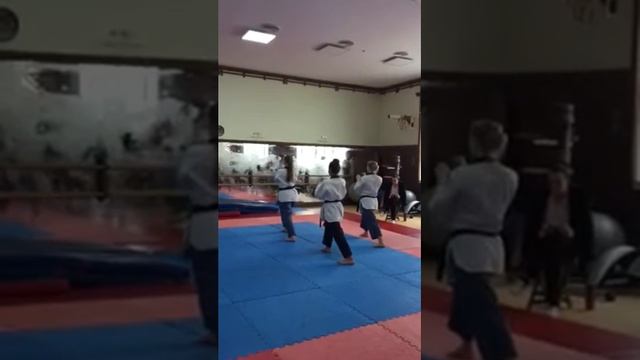 Тройка Тхеквондо пумсе юниорка смотреть онлайн