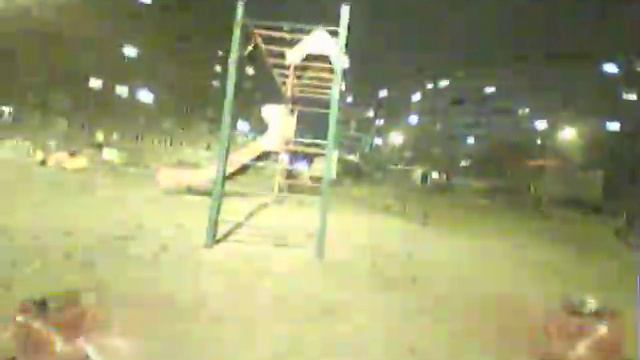 Мухой V2.1 издеваюсь над кошкой [DVR] смотреть онлайн