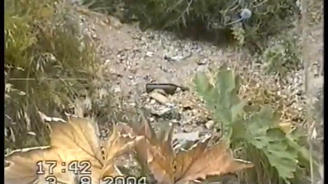 Крым. Ай-Петри. Украина (2004) (VHS-C) смотреть онлайн