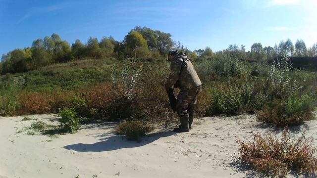 Сбор семян Лебеды стреловидной смотреть онлайн