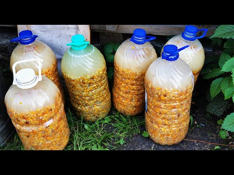 Сергей Риттер / Ritterfishing.tv