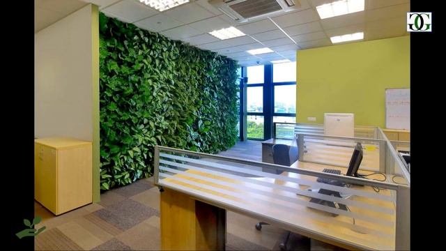 Natural green wall ideas for indoor areas like home, Office and Hotels/green wall decoration ideas смотреть онлайн