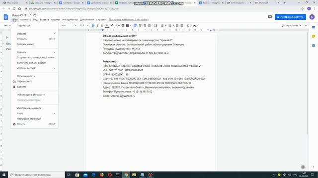 Сайт СНТ бесплатно от СНТрф смотреть онлайн
