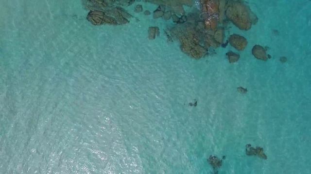 Tortoli смотреть онлайн