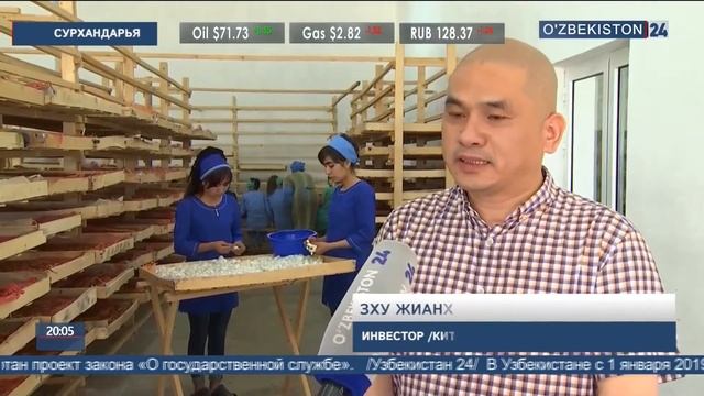 Развитие шелководства смотреть онлайн