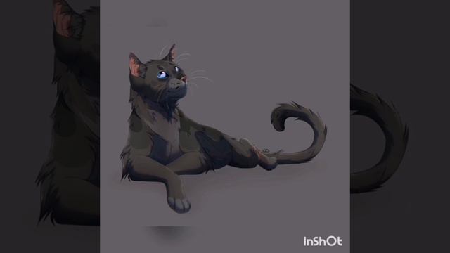Коты воители сменили пол! 2 часть смотреть онлайн
