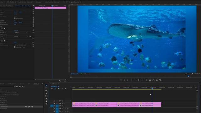 Clean Professional PHOTO SLIDESHOW tutorial in Adobe Premiere Pro смотреть онлайн