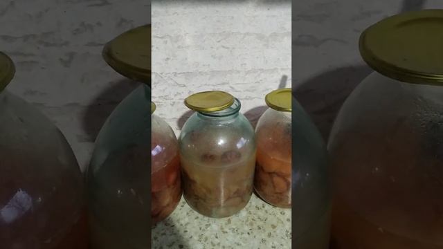 яблочный уксус 1