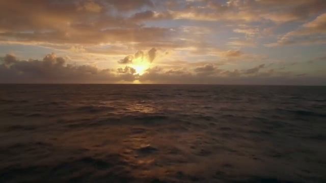 Проснувшись утром, бабушка АХНУЛА, ведь незваные гости оставили ей новорожденного,сбежав с ее добро смотреть онлайн