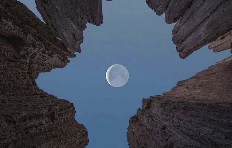 Суровый быт стрекоз