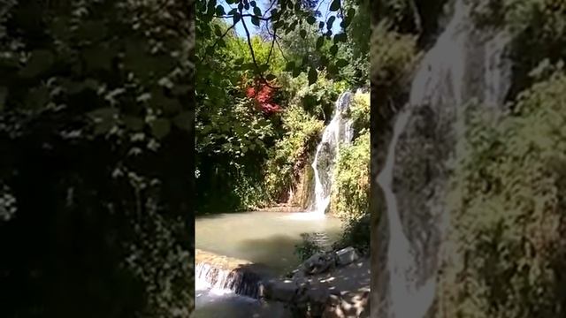 Балчик, ботанический сад смотреть онлайн