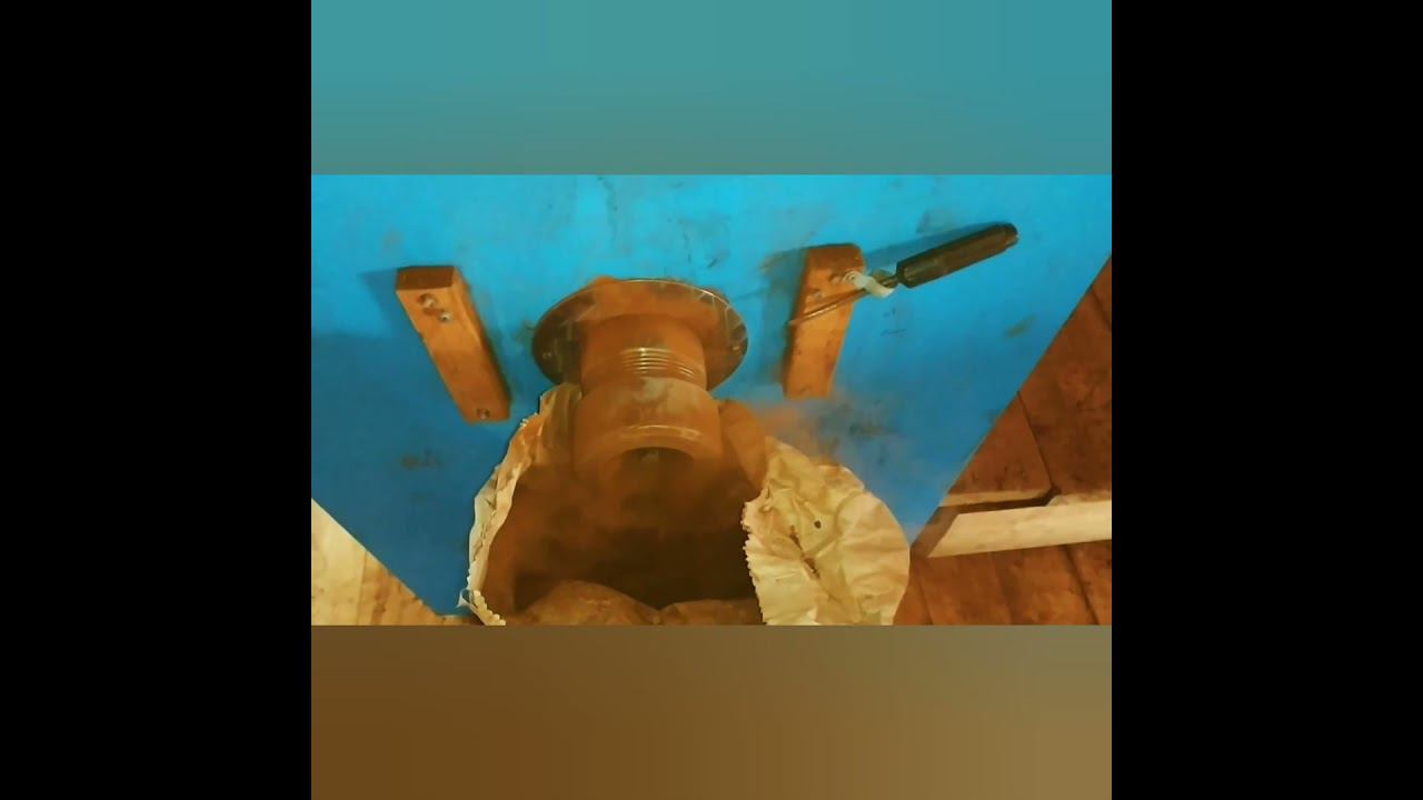 Как мы измельчаем чагу #6 #shorts смотреть онлайн