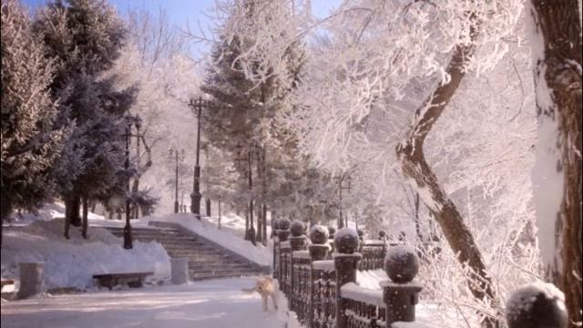 Белый снег смотреть онлайн