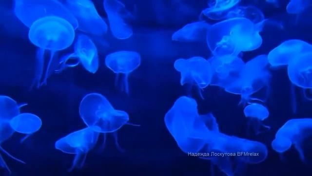 Нежный и волшебный сон, для учёбы, работы, отлично расслабляет, Музыкотерапия Лоскутовой смотреть онлайн