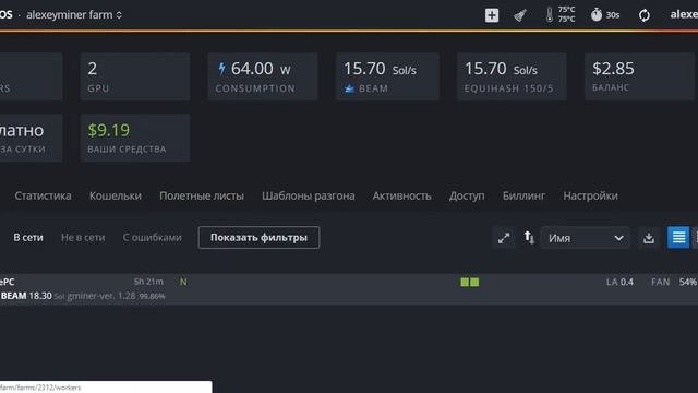 Иморт полетного листа в HiveOS смотреть онлайн