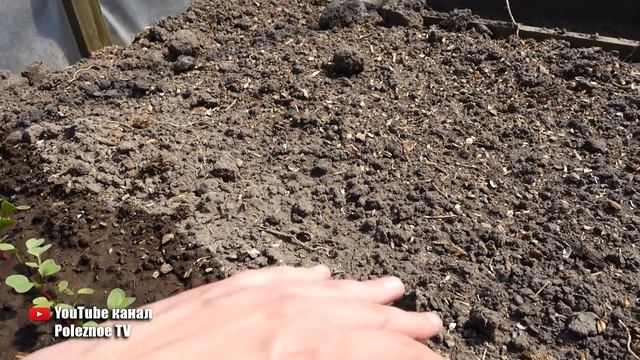 ВЕСЬ СЕЗОН С УРОЖАЕМ РЕДИСА ХИТРЫЙ СПОСОБ ВЫРАЩИВАНИЯ смотреть онлайн