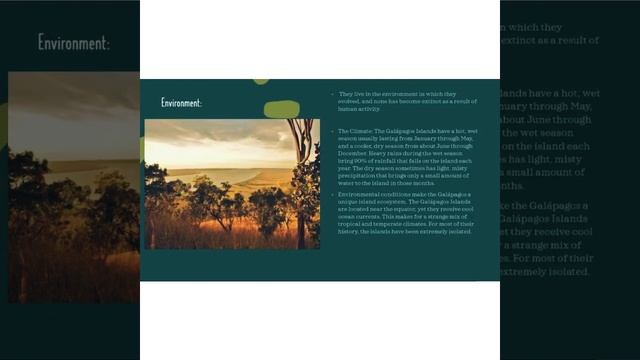 Galapago's Finche's|| Presentation #galapagos finches смотреть онлайн