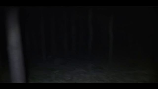 КЛОУН ПСИХ НАБРОСИЛСЯ НА МЕНЯ И ЗАБРАЛ ДРУГА. ПРЯЧЕМСЯ ОТ КЛОУНА В СТРАШНОМ ЛЕСУ НОЧЬЮ смотреть онлайн