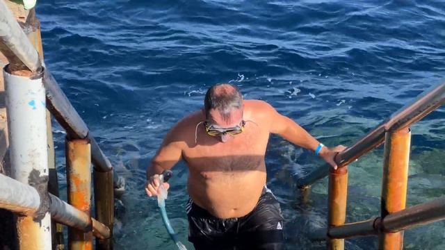 TAMRA Beach Hotel Sharm - Recensione