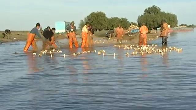 Астрахань смотреть онлайн