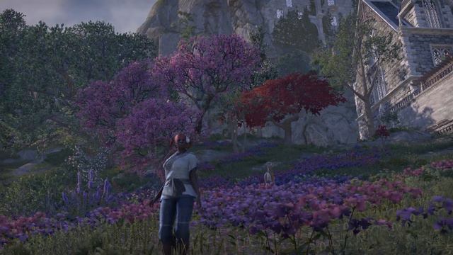 ESO Giveaway [ENDED] - Win 1 digital copy of ESO: Summerset (PC) - Thank you for your support! смотреть онлайн