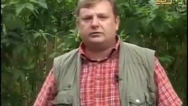 Дом из пенобетонных блоков смотреть онлайн