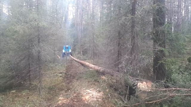 Т-40АМ Работа НА ПРЕДЕЛЕ ВОЗМОЖНОСТЕЙ!!!Первая поломка.