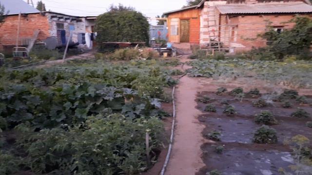 ИСТОРИЯ ТАТАР НА КАЗАХСКОЙ ЗЕМЛЕ: ментальность, традиции, формируемые нуждой смотреть онлайн