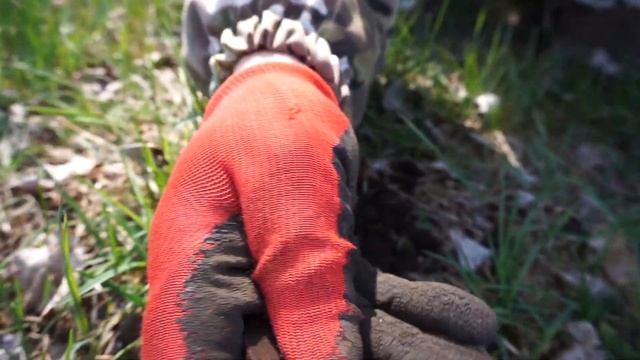 НА ГОРЕ СОВЕТОВ С Minelab X-Terra 705 смотреть онлайн