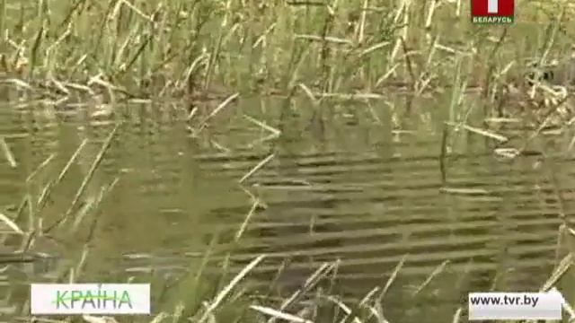 Уборка вадаёмаў у Мінскай вобласці. КРАIНА смотреть онлайн