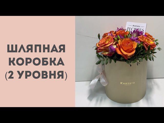 Шляпная коробка 2 уровня смотреть онлайн