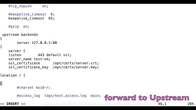 nginx ssl offloading example смотреть онлайн