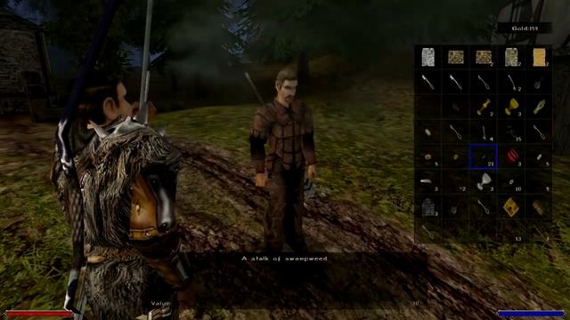 Обзор на Gothic II [SsethTzeentach RUS VO] смотреть онлайн