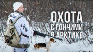 Охота с гончими в Арктике | C полем!