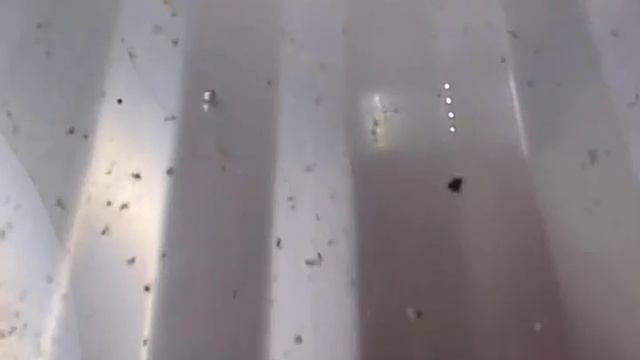 Дома.Хозяин.Советы