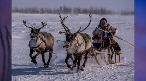 "Что создавалось трудом крестьянина", Окружающий мир 3 класс ч.2, с.92-103, Школа XXI век.mp4