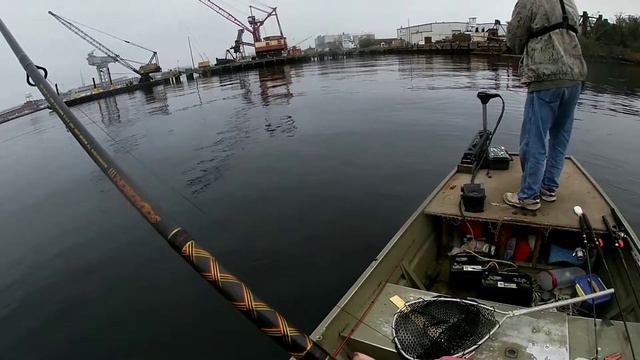 My PB speckled trout!!! смотреть онлайн