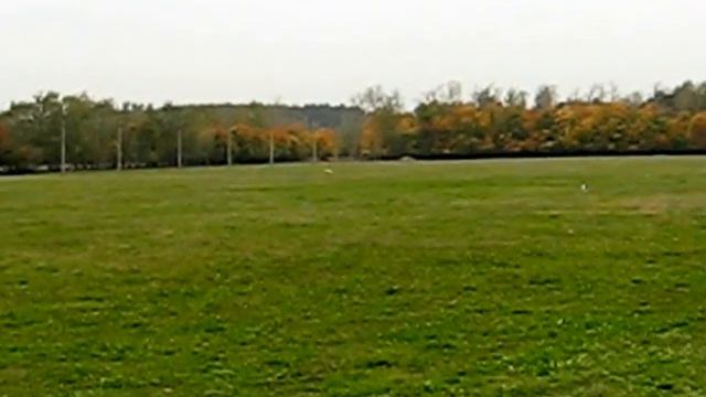 Курсинг в Суханово 23 сентября 2012 смотреть онлайн
