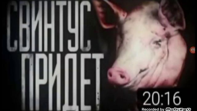 играю в игру свинтус прийдет смотреть онлайн