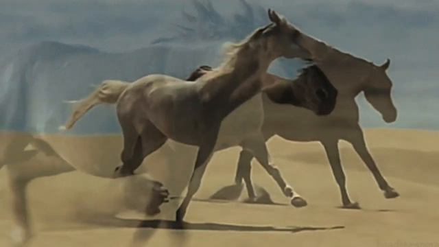 Ernesto Cortazar–Foolish heart смотреть онлайн