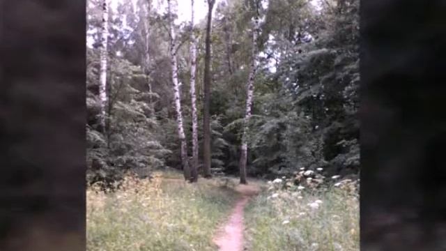 Красота Земли Русской! смотреть онлайн