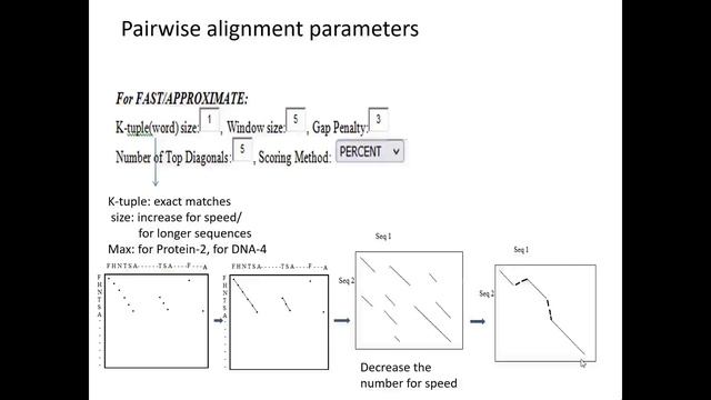 Multiple Sequence Alignment with CLUSTALW tool смотреть онлайн