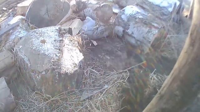 Поп на джипе #46 Готовим дрова. Хипстеры смотреть онлайн