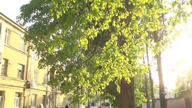 Весна - цветы смотреть онлайн