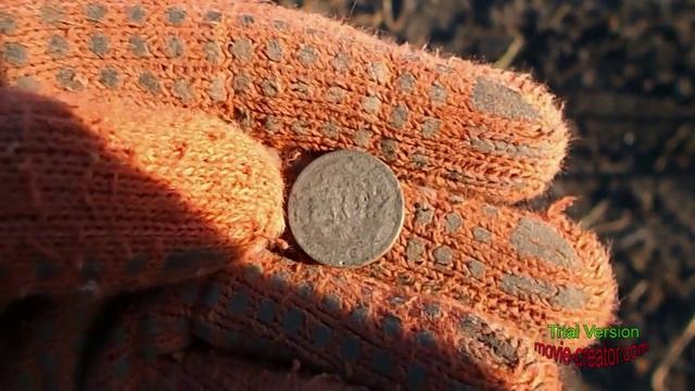 поиск монет около с.Старые Вирки . смотреть онлайн