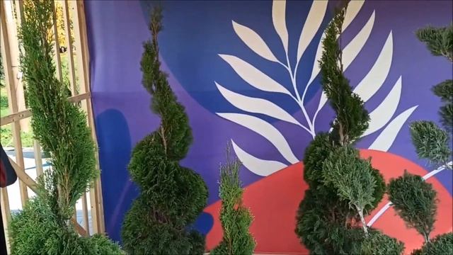 НАЛЬЧИК 2021.✅ ФЕСТИВАЛЬ ЦВЕТОВ НА ПЛОЩАДИ СОГЛАСИЯ.????? смотреть онлайн