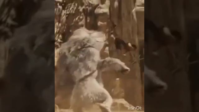 Фильм Джон Картер смотреть онлайн