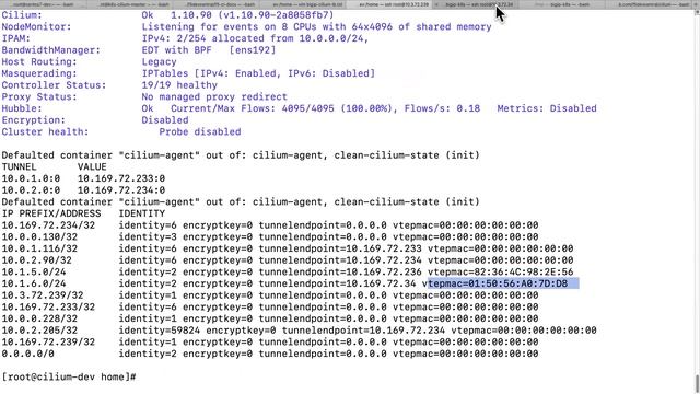 Cilium VTEP integration works with BIG-IP Geneve Tunnel? смотреть онлайн